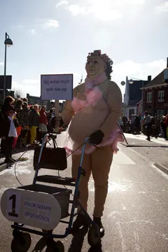 Grote Optocht 2011 2011, foto 48